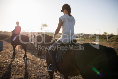 Female jockeys riding horse