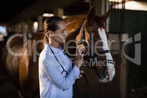 Confident female vet stroking horse