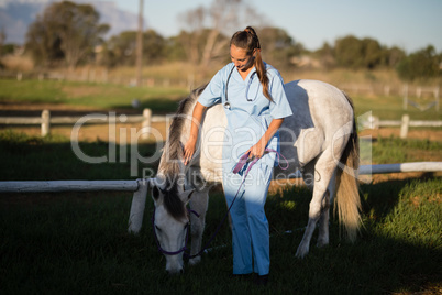 Vet stroking horse in farm