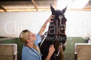 Female vet checking horse