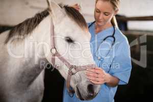 Female veterinarian stroking horse