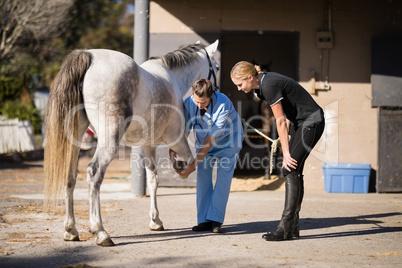 Female vet discussing with jockey while examining horse hoof