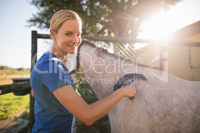 Female jockey cleaning horse with sweat scraper at barn