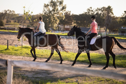 Side view of female friends riding horses against sky