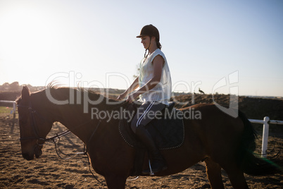 Female jockey riding horse at barn
