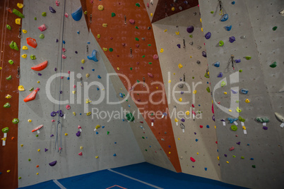 Handgrips on climbing wall at gym