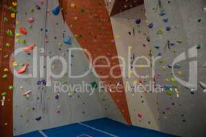 Handgrips on climbing wall at gym