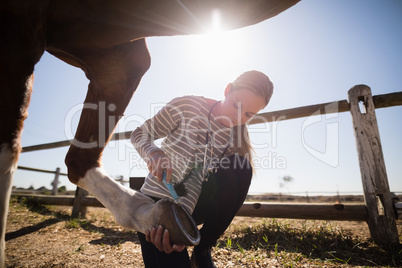 Young female vet attaching shoe on horse foot