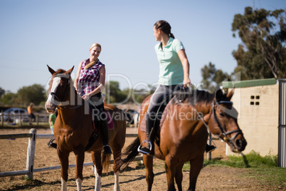 Female friends talking while sitting on horse