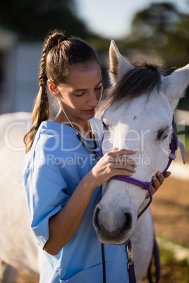 Female vet stroking white horse