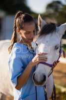 Female vet stroking white horse