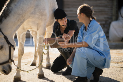 Female vet and jockey discussing while crouching by horse