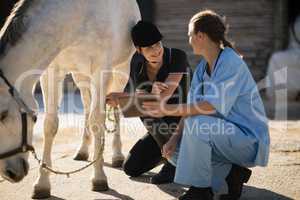 Female vet and jockey discussing while crouching by horse