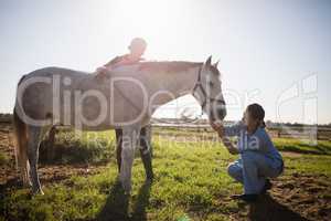Woman looking at vet examining horse in barn