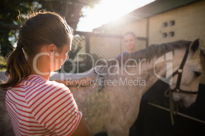 Friends cleaning horse at barn during sunny day