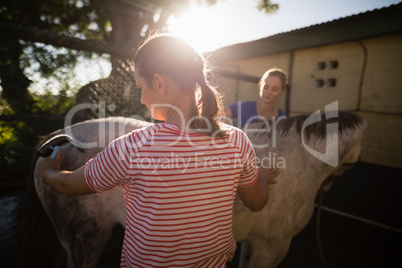 Friends cleaning horse at barn
