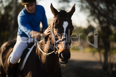 Jockey riding horse at barn