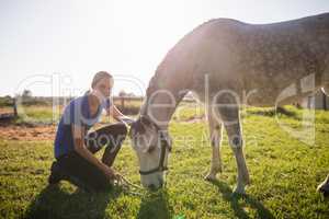 Portrait of smiling jockey stroking horse at barn