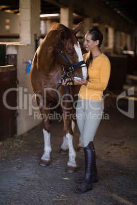 female jockey with horse standing in stable