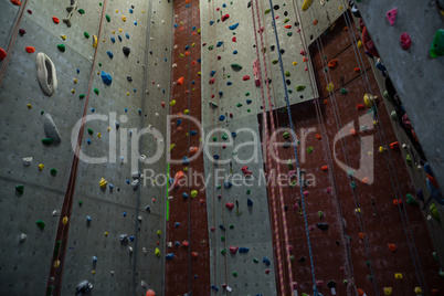 Ropes hanging by climbing wall in gym