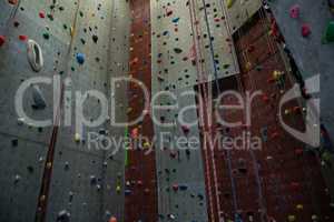 Ropes hanging by climbing wall in gym