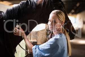 Portrait of female vet examining horse