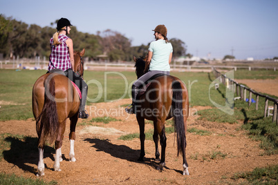 Rear view of female friends sitting on horse