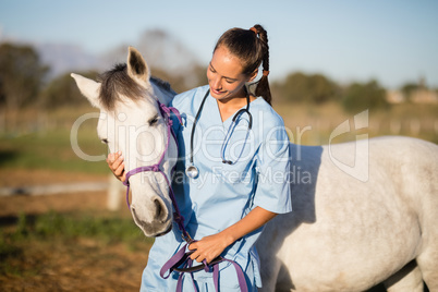 Female vet stroking horse