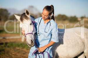 Female vet stroking horse
