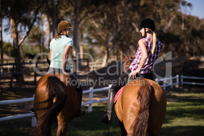 Rear view of happy female friends horseback riding