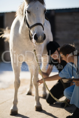 Female vet with jockey examining horse leg