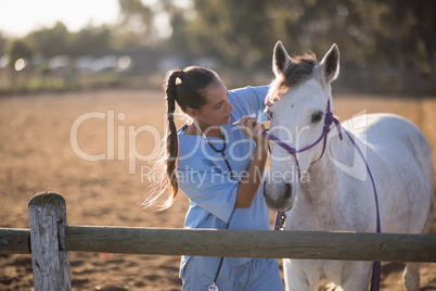 Female vet examining horse eye
