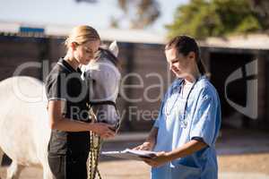 Female vet showing reports to jockey standing by horse