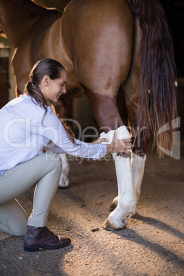 Side view of female vet bandaging horse leg