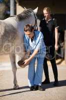 Female jockey looking at vet examining horse hoof