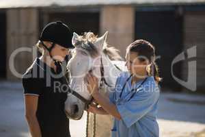 Female jockey looking at vet stroking horse