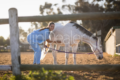 Portrait of female veterinarian examining horse