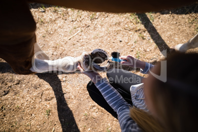 Overhead view of woman attaching shoe on horse foot