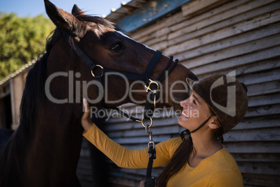 Happy female jockey stroking horse