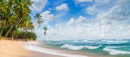 Beautiful ocean and tropical palm trees on the beach