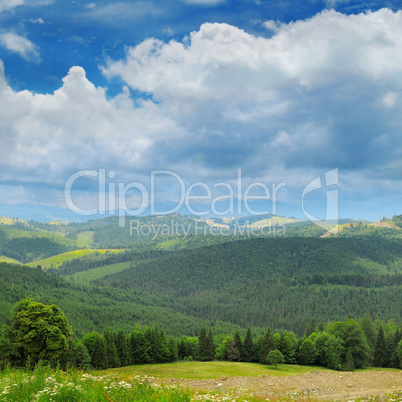 mountains covered trees and blue sky