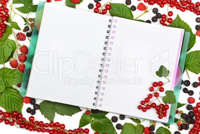 book on background of currant berries, blackberries and raspberr