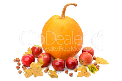 Pumpkin, apples and hazel isolated on white
