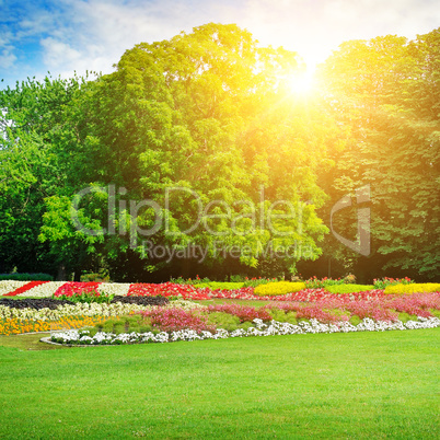 summer park with beautiful flowerbeds