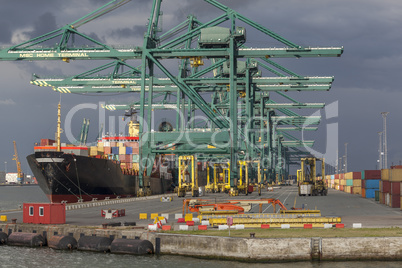 Containerschiff an einem Containerterminal  im Hafen von Antwerp