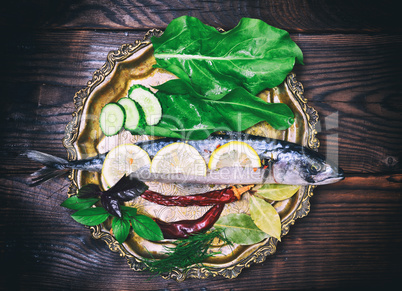 Whole raw fish mackerel on an iron plate