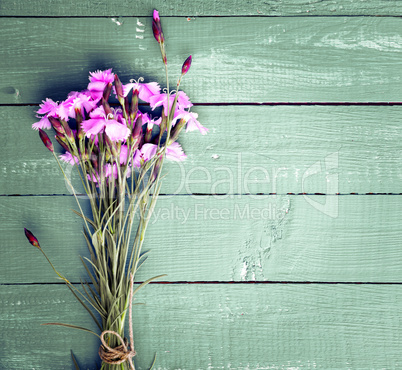 Bouquet of purple field carnations
