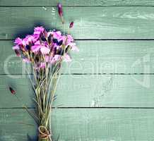 Bouquet of purple field carnations