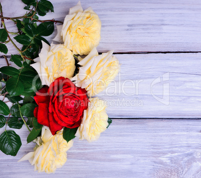Bouquet of blooming yellow and red roses