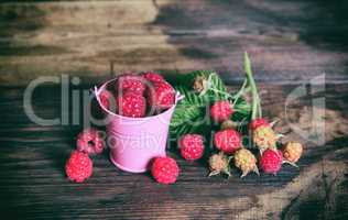 Ripe berries of red raspberries and a branch with unripe berries